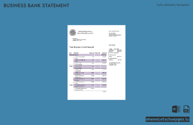 Mediobanca Geschäftsbericht – Beispielvorschau in Word und PDF